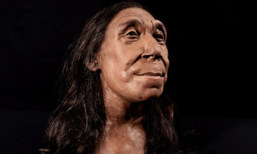 Scientists have reconstructed the face of a female Neanderthal who lived 75 000 years ago