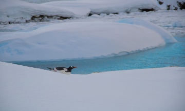 Уряд продовжив державну програму досліджень в Антарктиці до 2027 року