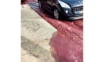 У Португалії вулицями лилося 2 мільйони літрів червоного вина — на заводі вибухнули резервуари