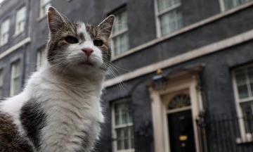 Головний кіт-мишолов Британії залишив Сунаку прощальний «подарунок» після його поразки на виборах