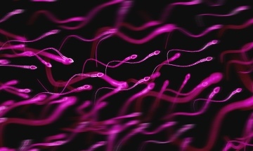 У США жінки подали до суду на лікаря за використання ним власної сперми для запліднення