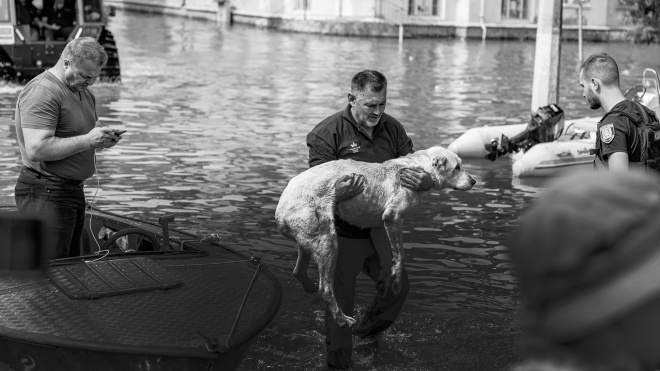 ”We are all bitten, scratched, but happy because we managed to get everyone out.” Volunteer Yevhen Haustov tells how he rescued animals and people from flooded villages in the Kherson region