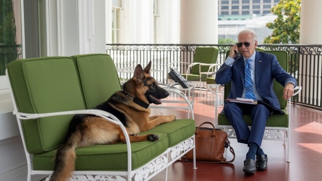 Joe Bidenʼs shepherd, who bit people 11 times, was evicted from the White House