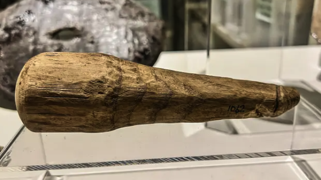 Знайдений 30 років тому давньоримський інструмент для штопання виявився фалоімітатором