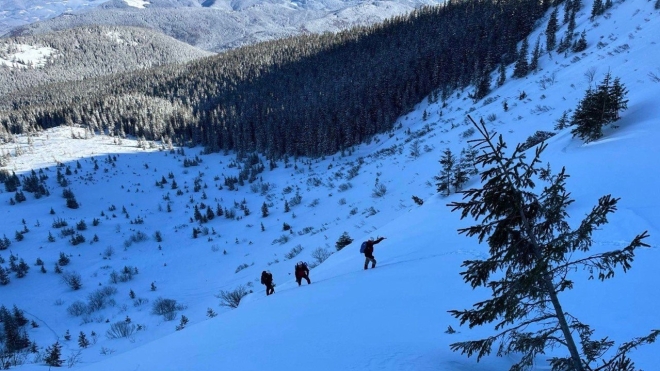 Rescuers are looking for the missing Frenchman for the eighth day. He wanted to conquer Hoverla and disappeared