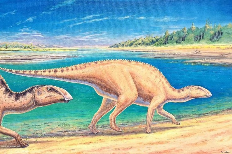 Ілюстративне зображення, який вигляд могли мати качкодзьобі динозаври.