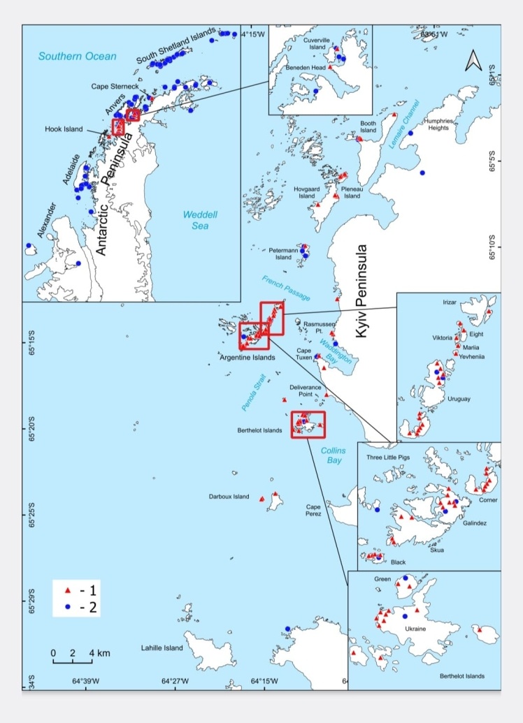 Distribution map of the Antarctic donkeyʼs ear.