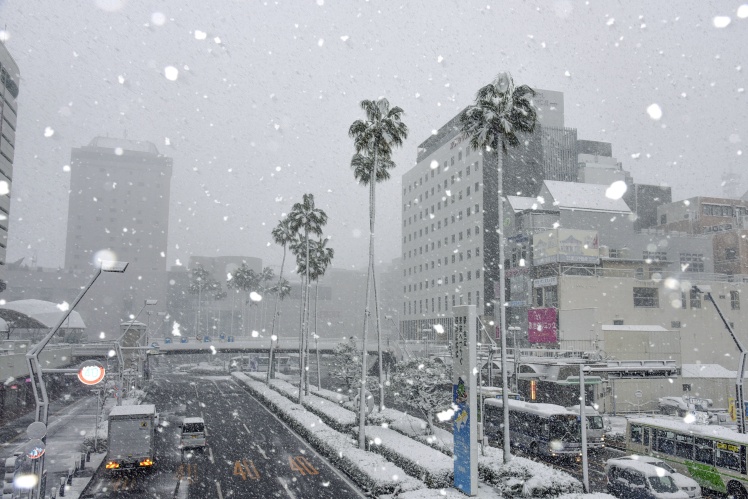 Місто Токусіма на заході Японії, 23 грудня 2022 року.