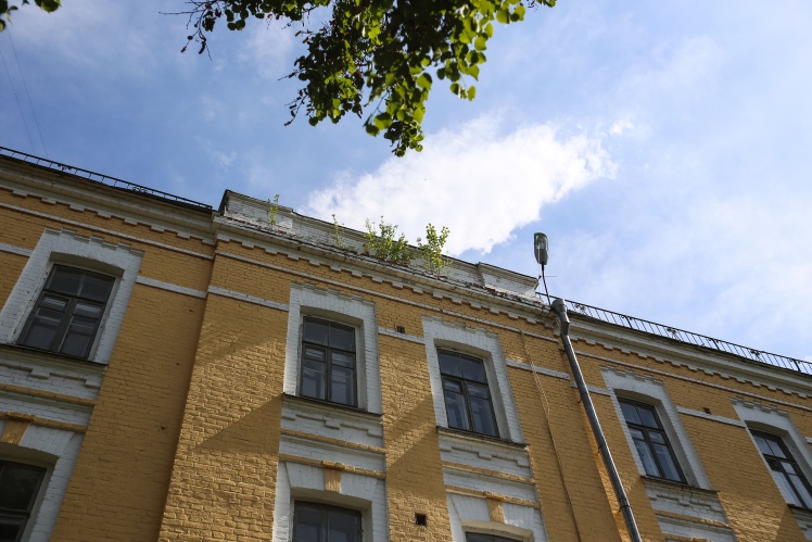 The building in the Upper Lavra — trees have sprouted on the roof.