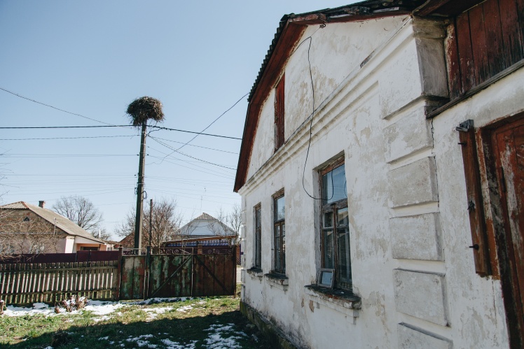 Vadymʼs house, next to which the storks made a nest.