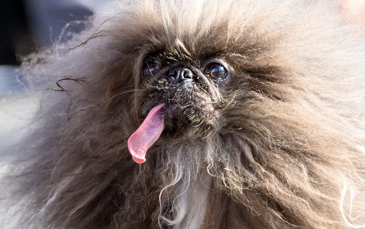 33c9f714599eb1d395d98a8a0fb2b81c Економічні новини - головні новини України та світу