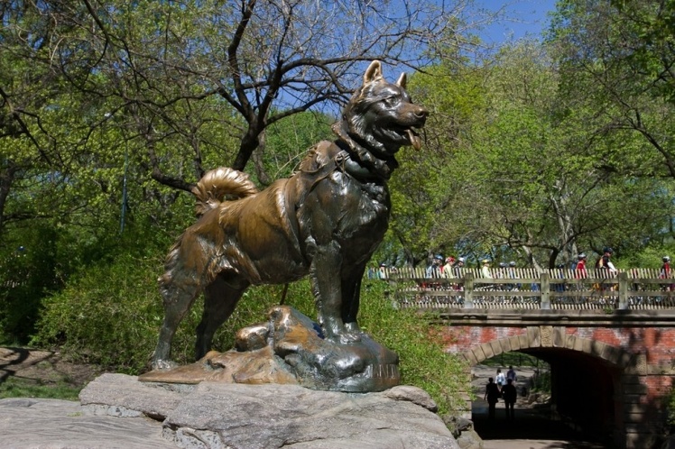 Статуя Балто у Центральному парку Нью-Йорка. 
