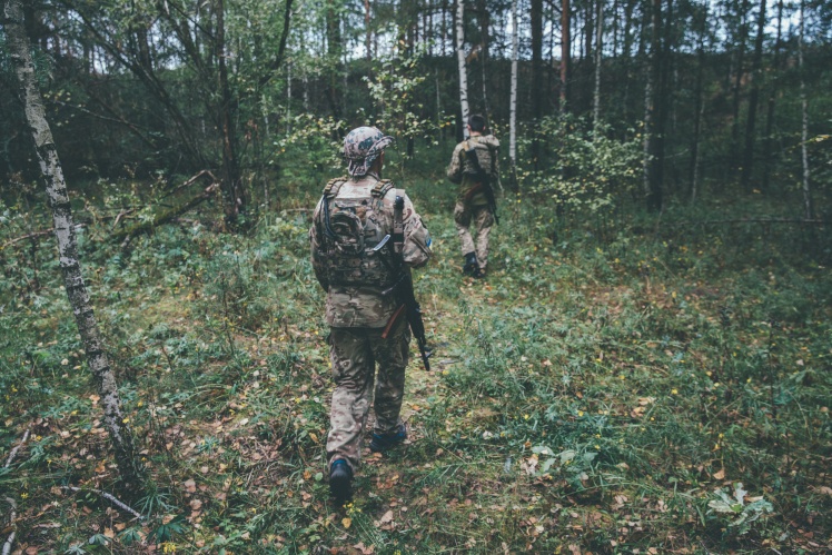 The Ukrainian border in the north is a forest