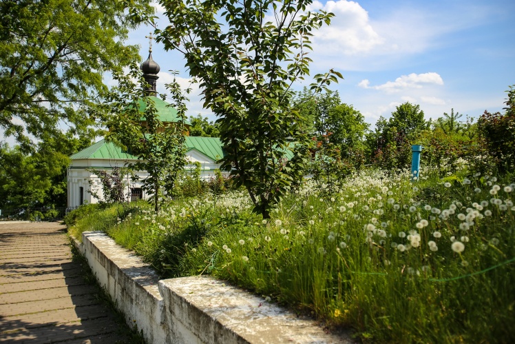 Monastery gardens.