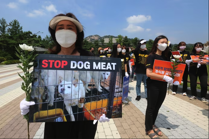 Мітинг проти споживання собачого м’яса в Сеулі, 16 липня 2020 року.