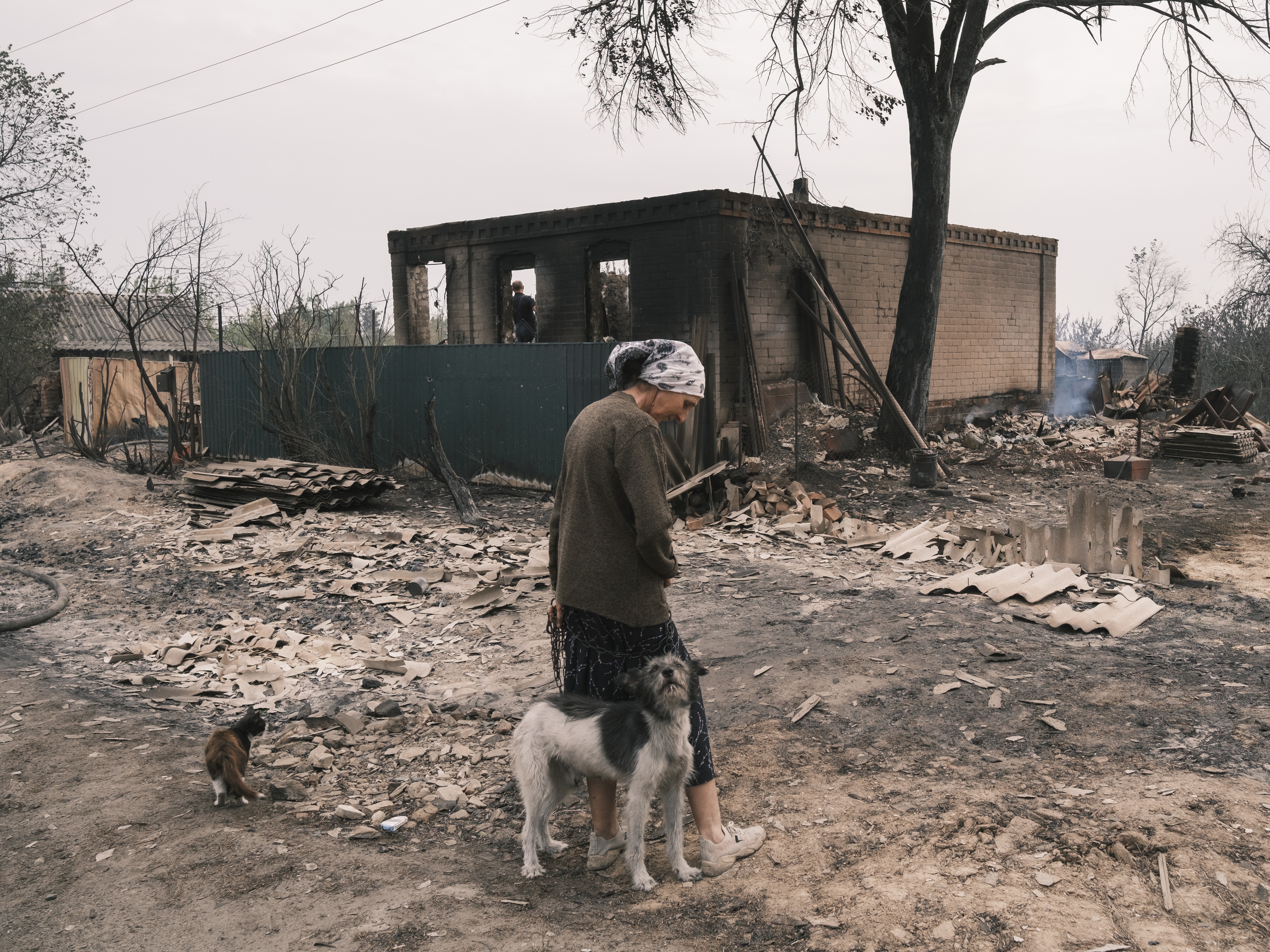 Масштабна пожежа в селі Студенок: жінка втратила все у день народження,  згоріла половина села на Харківщині