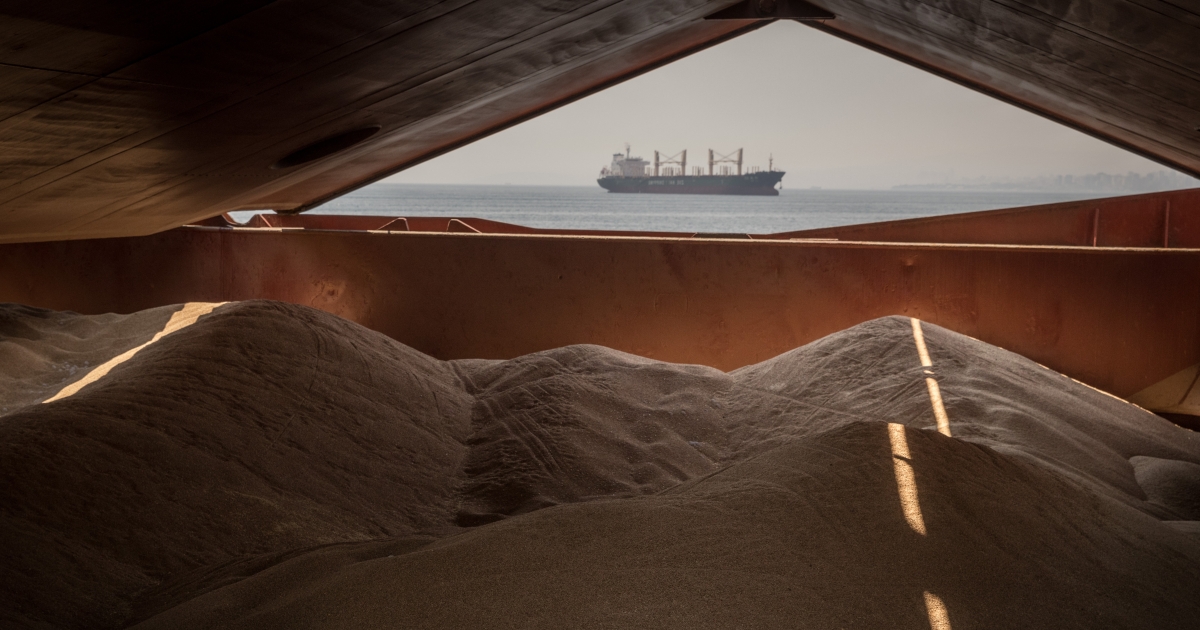 Kateryna Yaresko was the first to report that stolen Ukrainian grain was received at an Israeli port.