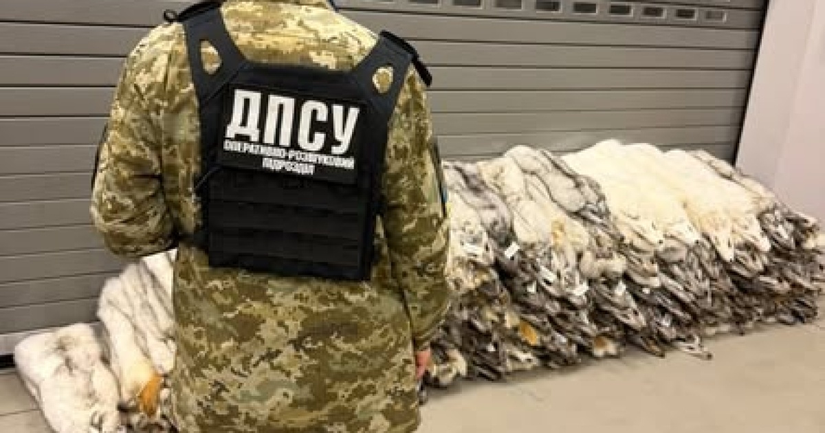 An attempt was made to illegally import 120 fox skins worth UAH 400 000 from Poland to Ukraine — the cargo was seized