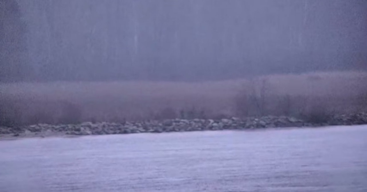 Російські прикордонники без дозволу перетнули кордон з Естонією