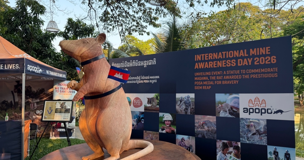 Statue in honor of famous mine-snapper rat unveiled in Cambodia