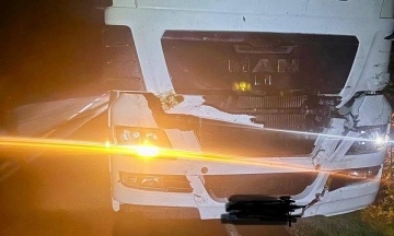 На Львівщині вантажівка збила 700-кілограмового червонокнижного зубра. Він помер на місці