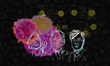 Імунна система може стримувати або навіть знищувати рак — за це відкриття позавчора трьом ученим вручили Нобелівську премію. «Бабель» пояснює, як це стало можливо