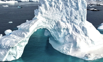 Ptushkinʼs film “Antarctica” broke the box office record among Ukrainian documentaries