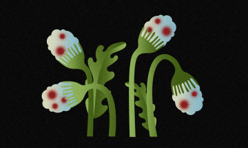 Нестерпний біль під час місячних ледь не до непритомності, а ще страшилки про безпліддя — усе це про ендометріоз. Що варто знати про нього? Пояснюють лікарки «Добробуту»