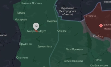 Росіяни вбили останню жительку села Токарівка Друга на прикордонні Харківщини