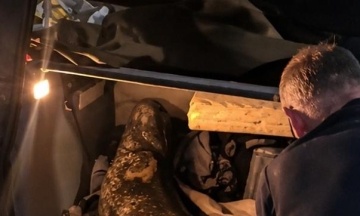 Poland deports Ukrainian who caught famous Warsaw catfish