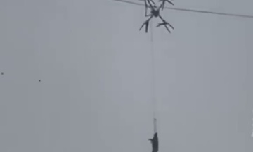 У Китаї свиня на дроні заплуталася у дротах — без світла залишилося ціле село. Як це сталося