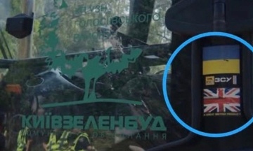 У КМДА спростували, що вирубують дерева технікою для ЗСУ