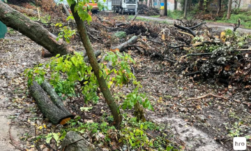 Activists say that all the trees in a part of the park in “Teremky” have been cut down. TG channels are simultaneously publishing materials against the protests