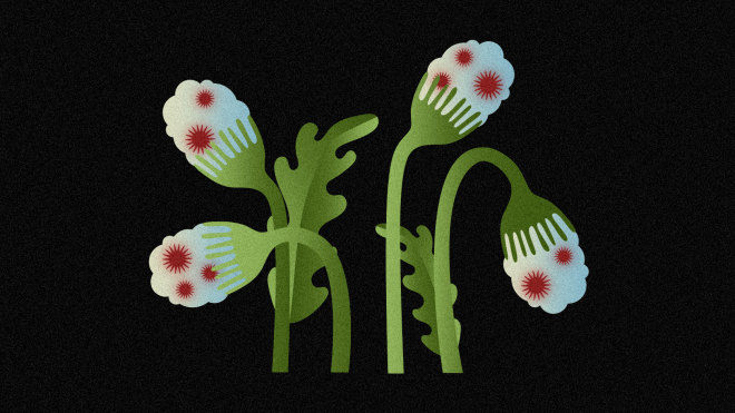 Нестерпний біль під час місячних ледь не до непритомності, а ще страшилки про безпліддя — усе це про ендометріоз. Що варто знати про нього? Пояснюють лікарки «Добробуту»