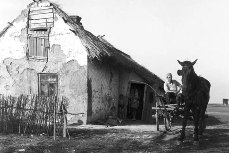 Кадри з фільму «Тісазуг» (1968) про отруйниць з Надьрева.