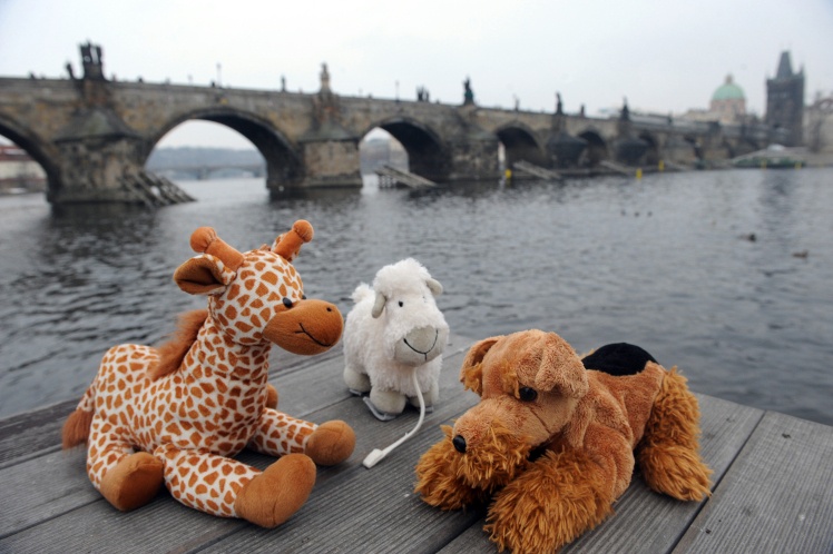 Фото з подорожі м’яких звіряток Прагою, яку організувала Toy Traveling, 18 лютого 2010 року.