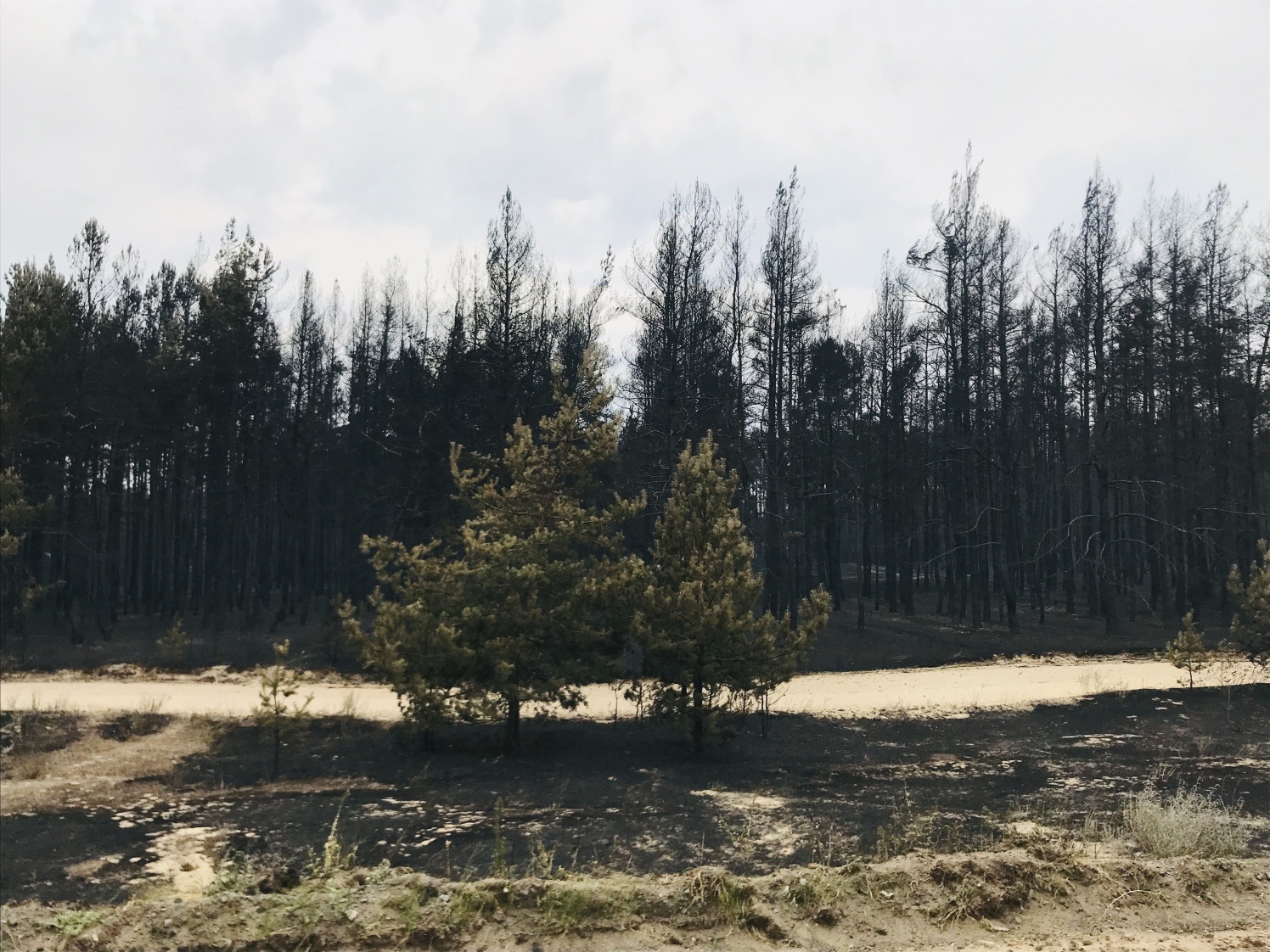Донецкая область карта донецкая и луганская области. Карта луганской области с населенными пунктами подробная. Как выглядит луганская область. Стаханов (город) города луганской области. Как выглядит луганская область.