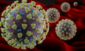 Зʼявився сайт, який вираховує шанси померти від коронавірусу. Імовірність нижча, ніж загинути випадково