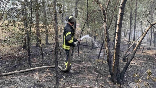 Рятувальники повідомили про локалізацію пожеж на Луганщині. Загрози розповсюдження вогню немає