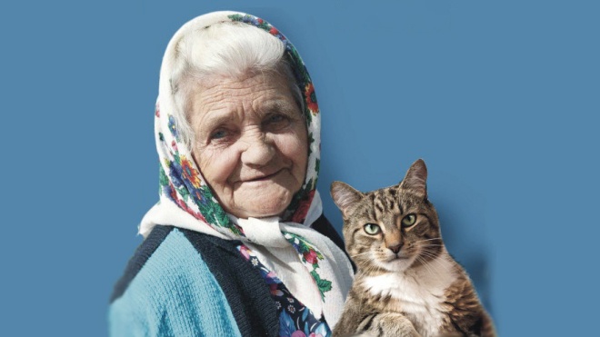 ЦВК зареєструвала кандидатом у нардепи автора плаката «Про бабусю і кота»