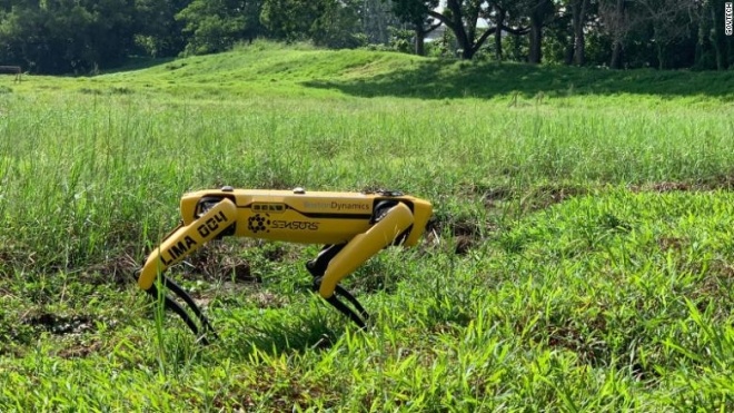 У Сінгапурі робот-собака патрулюватиме парки. Він стежитиме за соціальною дистанцією