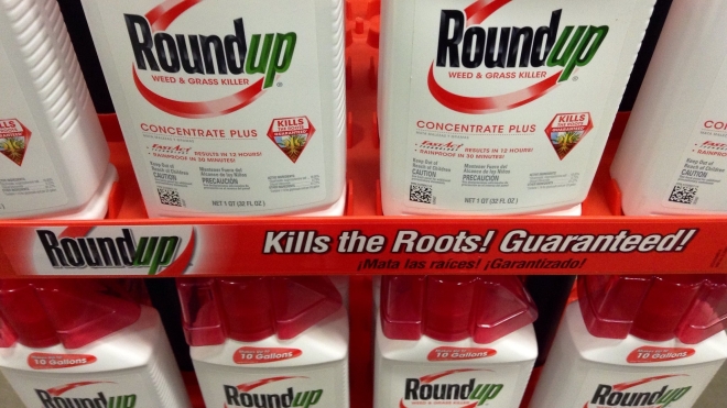 Німеччина та Канада відмовилися від популярного гербіциду Roundup. Підозрюють, що він не тільки вбиває комах, але й провокує рак
