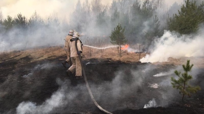 Третина пожеж у Житомирській області ліквідована. Там згоріло майже 8 тисяч гектарів трави