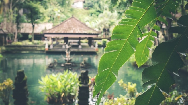 Детокс від гаджетів. Готель на Балі заборонив туристам користуватися смартфонами з 9 до 17 години