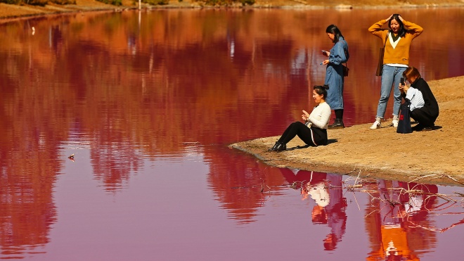 В Австралії озеро стало рожевим через донні водорості та ферменти. Як це виглядає?