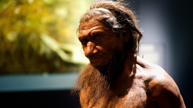 Исследование: Неандертальцы хуже справлялись с мелкими предметами, чем современные люди
