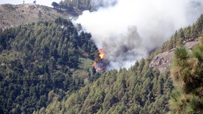 Из-за сильных лесных пожаров на Канарах власти эвакуировали тысячи людей