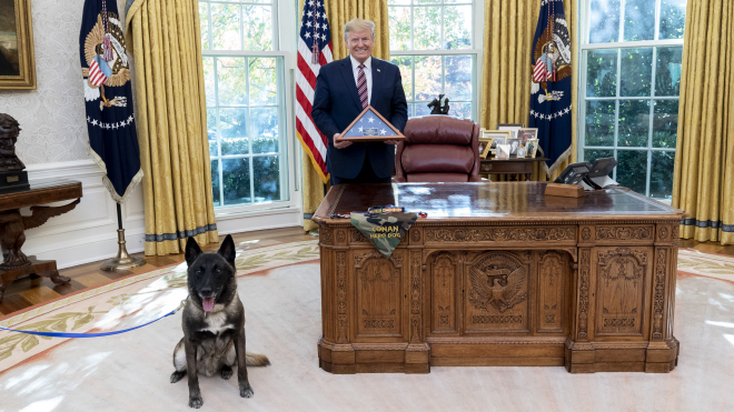 Трамп нагородив собаку, який брав участь у ліквідації лідера «Ісламської держави»