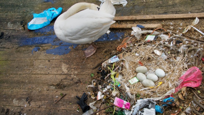 Пластик — це величезна проблема для екології, але боротьба з пластиковими трубочками її не вирішить.  Переказуємо колонку видання Quillette