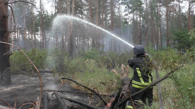 Рятувальники загасили пожежу в замінованому лісі поблизу Станиці Луганської